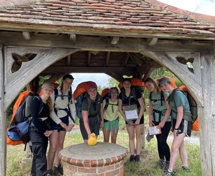 Dofe (5)