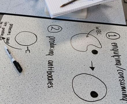 Y10science (2)