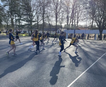 PGL netball (3)