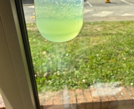 Science Kiwi DNA (2)