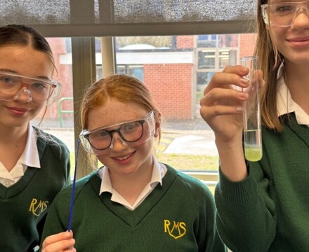 Science   Kiwi DNA (1)
