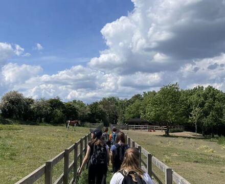 IMG 7759 (1)