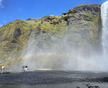 IMG 7955