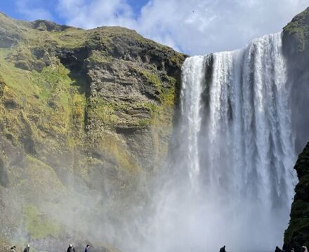 IMG 7946