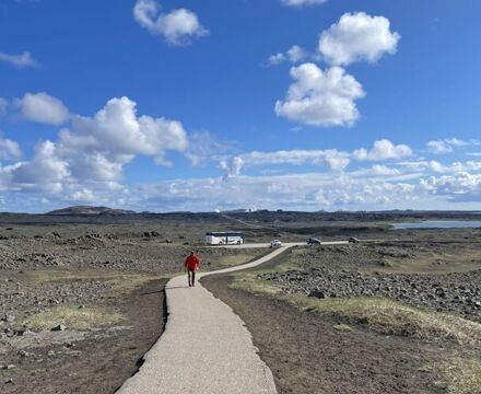 IMG 7885
