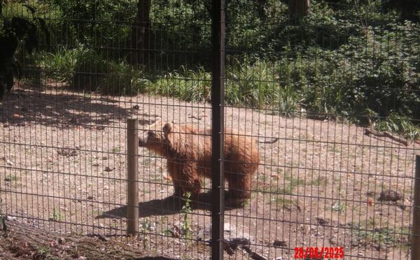 Year 9 Science Reward Trip to Port Lympne