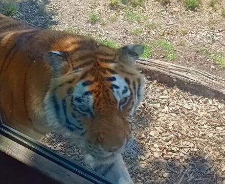 IMG 20250629 113756424 HDR