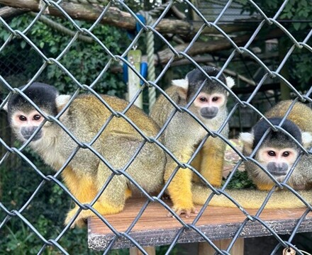 Bafefed6 782e 42f9 9e90 b8dc07940129 (1)