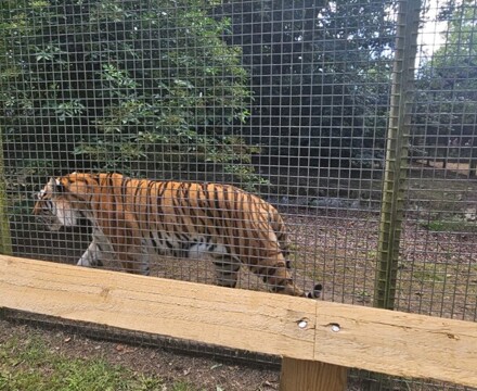 De0ecc01 6fdc 472d 98e2 4fcee89a24bb