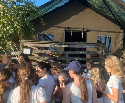 Untitled design (10)