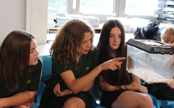 Year 7 ZooLab Visit