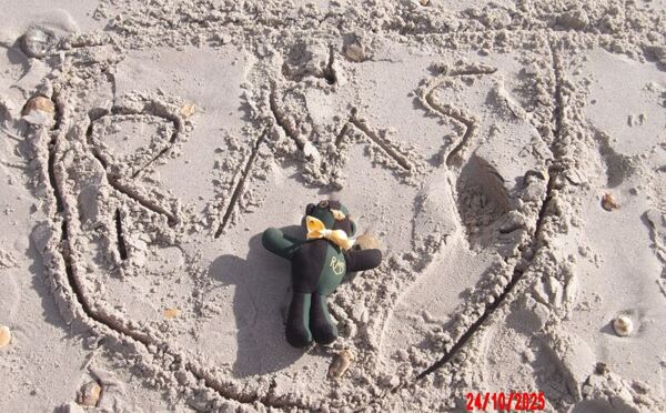 Year 11 Geography Fieldtrip to Highcliffe, Dorset