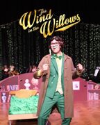 Wind in the Willows for website