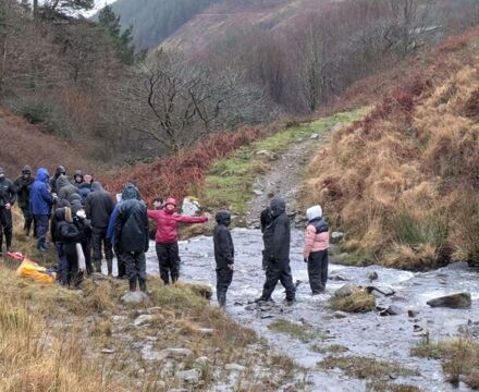 PXL 20260124 115531849.MP